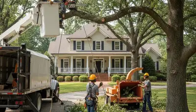 Atlanta, GA tree service crew removing a hazardous tree with professional equipment