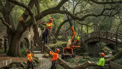 Tree service crew in Atlanta, GA providing professional tree removal and trimming services